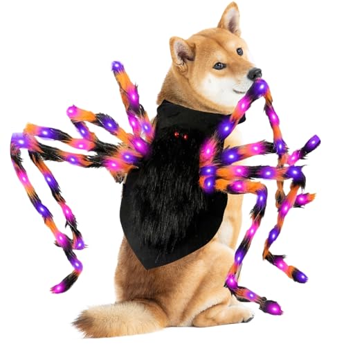 lisutupode Leuchtendes Spinnenkostüm für Hunde, 60/75 cm, Halloween-Kostüm, Spinne, verstellbar, für Katzen und kleine bis mittelgroße Hunde, Halloween-Party, Verkleidung, Festival, Dekoration von lisutupode