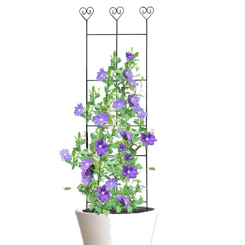 lisutupode Stabiler Metall Rankgitter Für Kletterpflanzen - Rankhilfe Zum Anleiten Von Kletterpflanzen Im Freien Garten,Metall Rankhilfe Gartendeko für Tomaten Efeu Monstera Blumen Outdoor von lisutupode
