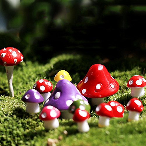 little finger Miniatur-Pilz, Mikro-Landschaft, Bonsai, Sukkulenten, Mini-Garten, DIY-Dekoration, gemischte Farben, M von little finger
