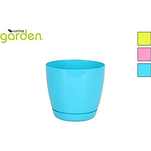 Little Garden 42444 Blumentopf mit Untersetzer, 16 cm, 3 von Little Garden