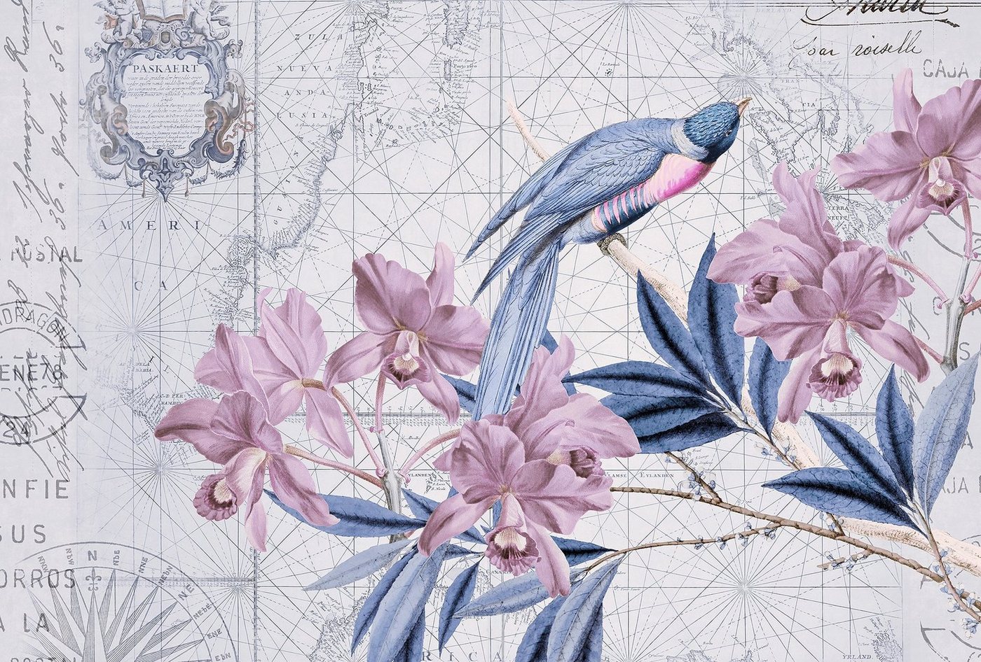 living walls Fototapete ARTist Bird Discovery, (Set, 4 St), Vlies, Wand, Schräge von living walls