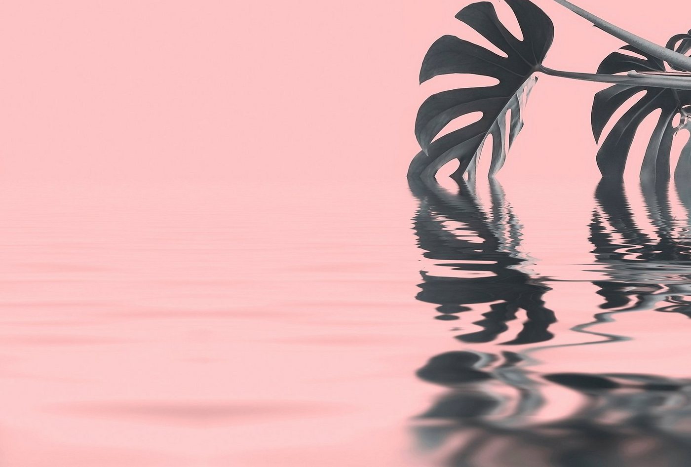 living walls Fototapete ARTist Monstera Leaf Water, (Set, 4 St), Vlies, Wand, Schräge von living walls