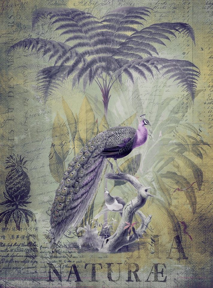 living walls Fototapete ARTist Peacock Jungle, (Set, 2 St), Vlies, Wand, Schräge von living walls