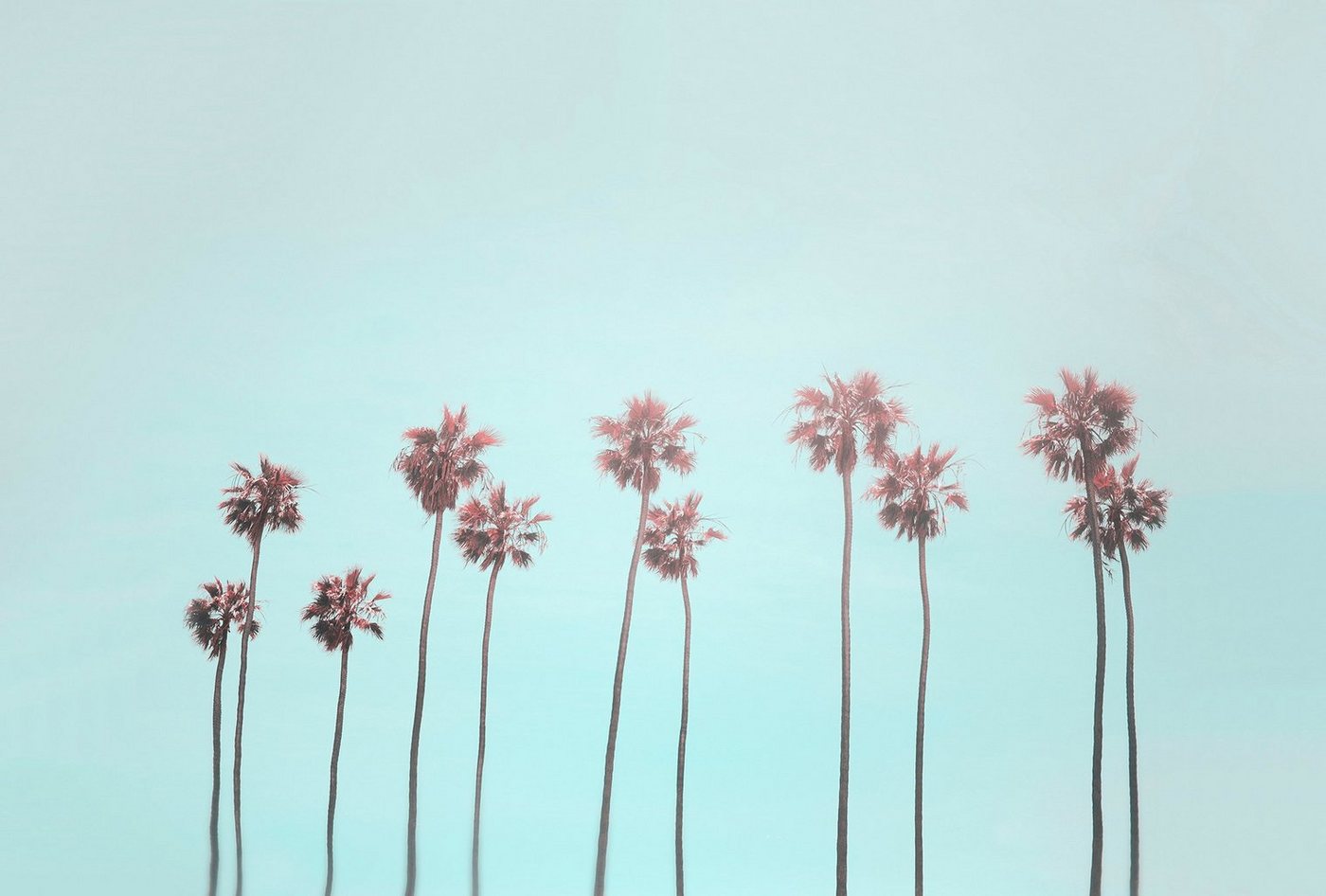 living walls Fototapete ARTist Tropical Trees, (Set, 4 St), Vlies, Wand, Schräge von living walls
