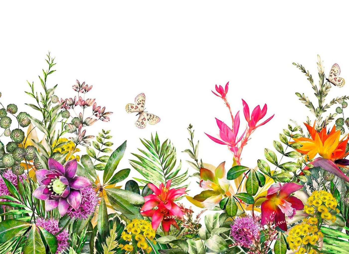 living walls Fototapete Flower Power Vlies, glatt, (1 St), Fototapete Blumen Tapete Floral Weiß Bunt 3,50 m x 2,55 m Tapete von living walls