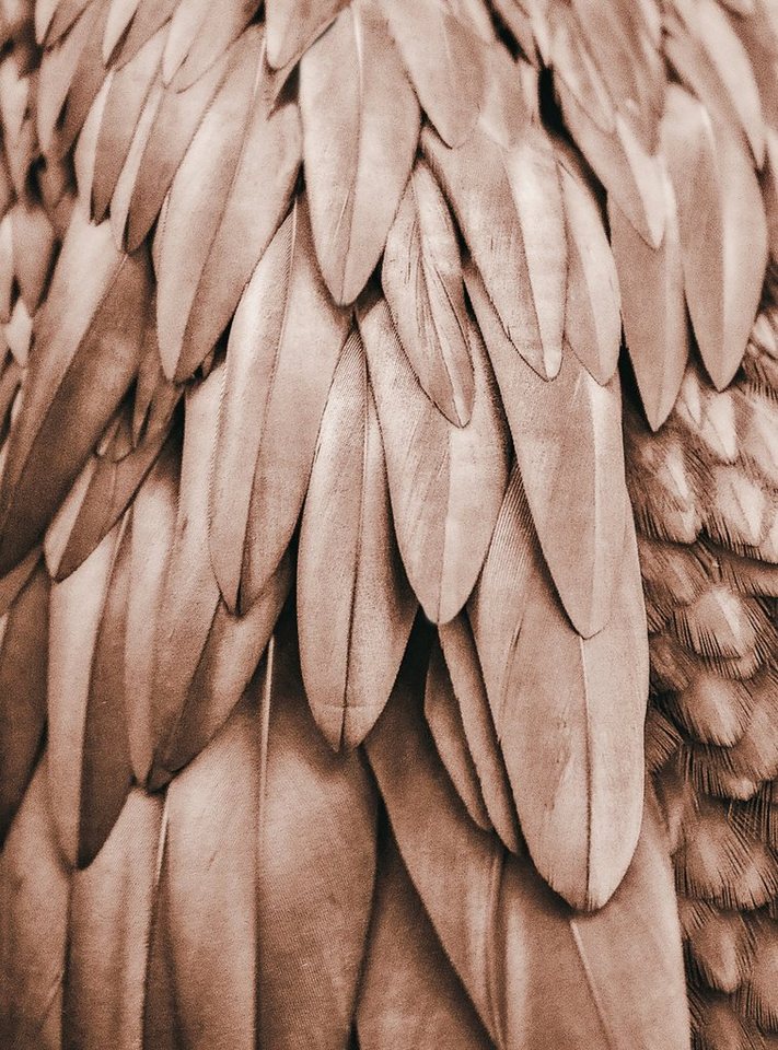 living walls Fototapete Livingwalls living walls Fototapete Livingwalls von living walls