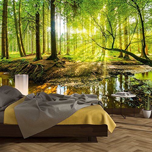 murimage Fototapete Wald 366 x 254 cm inklusive Kleister Bäume Holz Sonne Natur Schlafzimmer Wohnzimmer von murimage