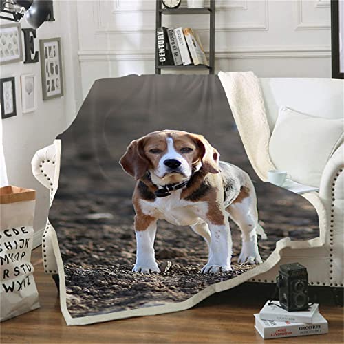 Decke Beagle Bedruckte Sofadecke Weiche und warme süße Schlafsofa Abdeckung Reiseplüschdecke (130x150cm) 3D-Druckdecke von lixiaochao