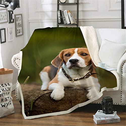 Fleecedecke Beagle Überwurfdecke für Couch Superweiche Fleece-Tagesdecke Decke Schlafsofadecke (150x200cm) 3D-Druckdecke von lixiaochao