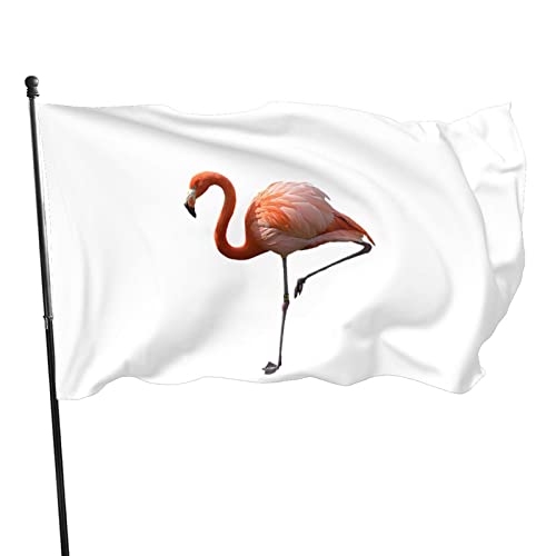 Bannerfahnen Flamingo Schwimmer Garten Fahnen Langlebig Flaggen Banner Verblassen Beständig Gartenflaggen, Für Veranda, Garten, Bauernhaus, 90X150Cm von lixinxiantudoumaoyiyouxiangongsi2