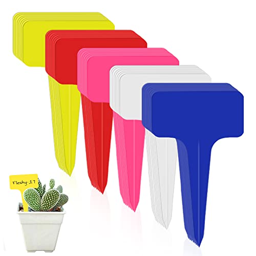 100Stk Plastik Pflanzschilder T-Form Pflanzenstecker Garten Beschriften für Baumschulen Pflanzenzucht Zierpflanzen Topfkräuter Blumen Samen Gemüse 10x6CM (multicolor) von lmytdo