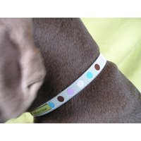 Root Beer Float Halsband Oder Leine in Aqua Dots von lodiandlewi