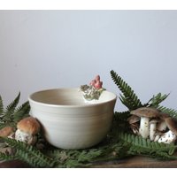 Schale Aus Steinzeug Mit Rosa Pilzen Und Moos Schale Aus Steinzeug Mit Rosa Pilzen Und Moos von lofficina