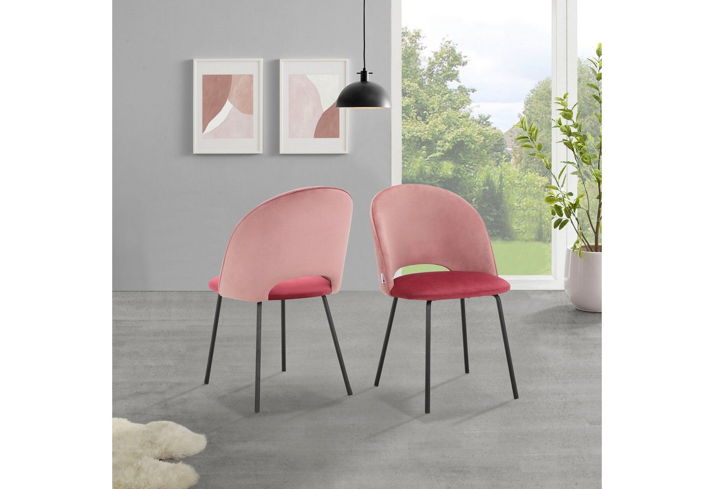 loft24 Esszimmerstuhl Zhang (Set, 2 St), Bezug in Samtoptik, Polsterstuhl, Stuhl, Metallbeine schwarz von loft24
