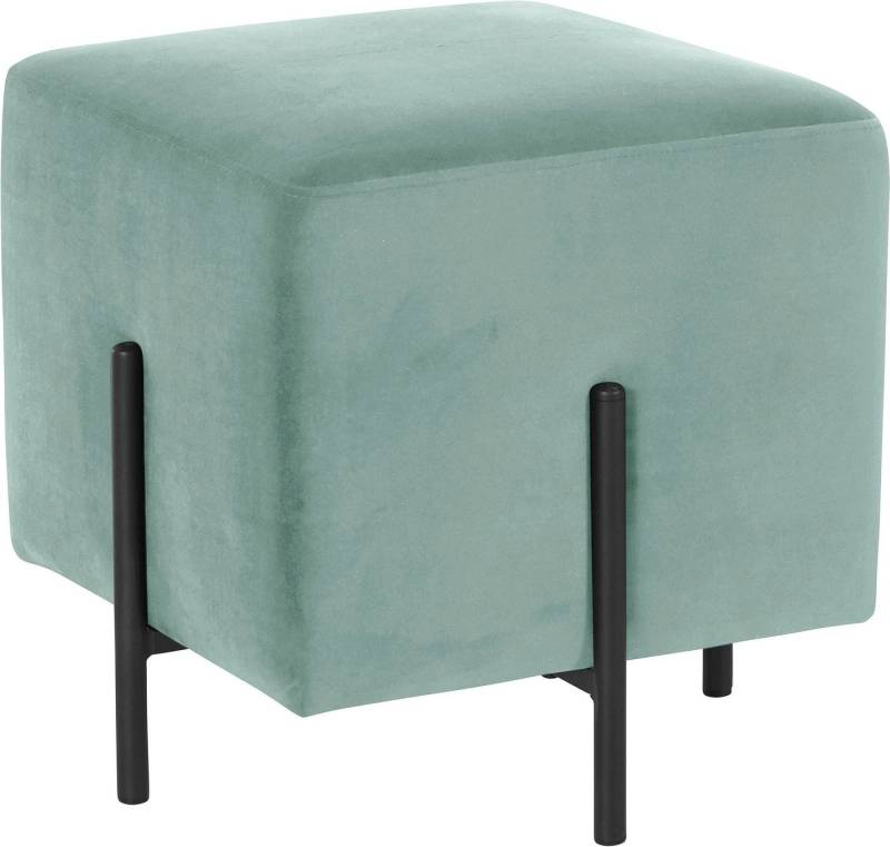 loft24 Polsterhocker Roland (1 St), Hocker, Fußhocker Bezug in Samtoptik, Metallgestell, Sitzhöhe 42 cm von loft24