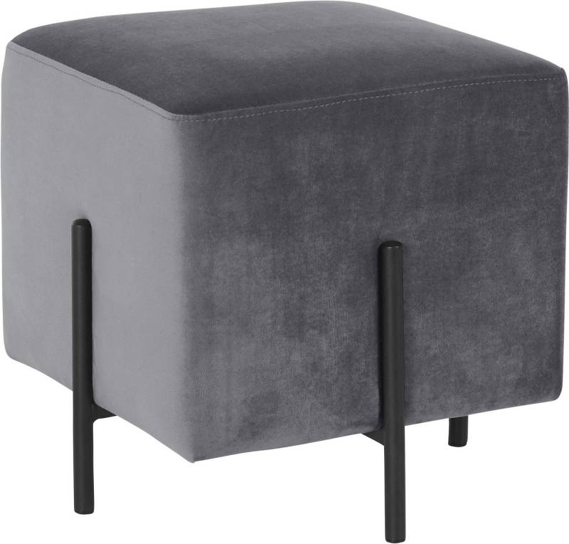 loft24 Polsterhocker Roland (1 St), Hocker, Fußhocker Bezug in Samtoptik, Metallgestell, Sitzhöhe 42 cm von loft24