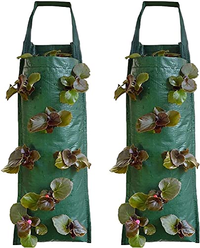 lohill 2er Pack Pflanztasche Hängend Vertikal Pflanzsack Pflanzbeutel Erdbeere Grow Tasche Atmungsaktiv von lohill