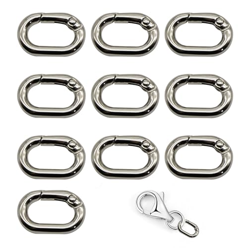 10 Stück Ovaler Kettenverschluss Karabinerhaken Mini Karabiner Federspaltringe Ovaler Federschnalle Schlüsselring Karabiner Halskettenverschlüsse und Verschlüsse für Taschen DIY Handwerk Zubehör von lokxmve