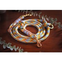 Hundeleine I Tauleine Orange-Gelb-Blau Spring Vibes Hundeleine I Tauleine Orange-Gelb-Blau Spring Vibes von lolaslittlecorner