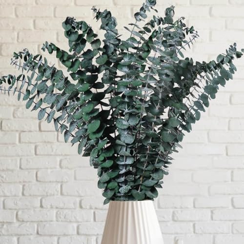 lomdung 24 Stück Künstliche Pflanzen Set 45CM, Künstlichen Blumen Blättern, Eukalyptus Pflanze für Dusche Blumenarrangement Hochzeit Kranz Home Decor von lomdung