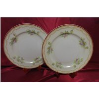 2 Vintage Speiseteller Sampy Florence Sammlermuster Geschirr 24 cm Handbemalt 2 Vintage Speiseteller Sampy Florence Sammlermuster Geschirr 24 cm Handbemalt von lornasattic