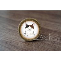 Cat-Glass Cabochon Bronze Möbelknäufe/Möbelgriffe Knäufe Cat-Glass Cabochon Bronze Möbelknäufe/Möbelgriffe Knäufe von lotusdardware