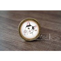 Cat-Glass Cabochon Bronze Möbelknäufe/Möbelgriffe Knäufe Cat-Glass Cabochon Bronze Möbelknäufe/Möbelgriffe Knäufe von lotusdardware