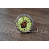 Insekt - Handgefertigte Vintage Antique Schublade Knobs Pulls Handles/Dresser Schrank Pull Griffe/Möbelbeschläge von lotusdardware