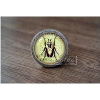 Insekt - Handgefertigte Vintage Antique Schublade Knobs Pulls Handles/Dresser Schrank Pull Griffe/Möbelbeschläge von lotusdardware