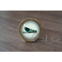 InsektHandgemachte Vintage Antike Schubladenknäufe Zieht Griffe/Kommode Knäufe Möbelknäufe/Möbelbeschläge InsektHandgemachte Vintage Antike Schubladenknäufe Zieht Griffe/Kommode Knäufe Möbelknäufe/Möbelbeschläge von lotusdardware