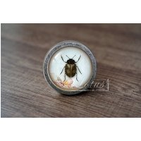 InsektHandgemachte Vintage Antike Schubladenknäufe Zieht Griffe/Kommode Knäufe Möbelknäufe/Möbelbeschläge InsektHandgemachte Vintage Antike Schubladenknäufe Zieht Griffe/Kommode Knäufe Möbelknäufe/Möbelbeschläge von lotusdardware