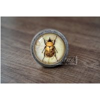 InsektHandgemachte Vintage Antike Schubladenknäufe Zieht Griffe/Kommode Knäufe Möbelknäufe/Möbelbeschläge InsektHandgemachte Vintage Antike Schubladenknäufe Zieht Griffe/Kommode Knäufe Möbelknäufe/Möbelbeschläge von lotusdardware