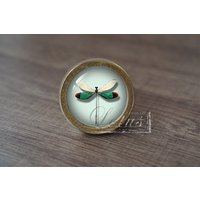 InsektHandgemachte Vintage Antike Schubladenknäufe Zieht Griffe/Kommode Knäufe Möbelknäufe/Möbelbeschläge InsektHandgemachte Vintage Antike Schubladenknäufe Zieht Griffe/Kommode Knäufe Möbelknäufe/Möbelbeschläge von lotusdardware