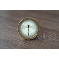 InsektHandgemachte Vintage Antike Schubladenknäufe Zieht Griffe/Kommode Knäufe Möbelknäufe/Möbelbeschläge von lotusdardware
