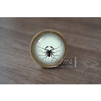 InsektHandgemachte Vintage Antike Schubladenknäufe Zieht Griffe/Kommode Knäufe Möbelknäufe/Möbelbeschläge InsektHandgemachte Vintage Antike Schubladenknäufe Zieht Griffe/Kommode Knäufe Möbelknäufe/Möbelbeschläge von lotusdardware