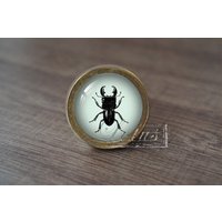 InsektHandgemachte Vintage Antike Schubladenknäufe Zieht Griffe/Kommode Knäufe Möbelknäufe/Möbelbeschläge von lotusdardware