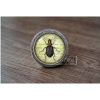 InsektHandgemachte Vintage Antike Schubladenknäufe Zieht Griffe/Kommode Knäufe Möbelknäufe/Möbelbeschläge InsektHandgemachte Vintage Antike Schubladenknäufe Zieht Griffe/Kommode Knäufe Möbelknäufe/Möbelbeschläge von lotusdardware