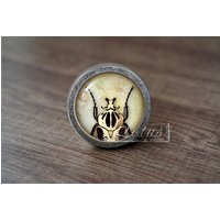 InsektHandgemachte Vintage Antike Schubladenknäufe Zieht Griffe/Kommode Knäufe Möbelknäufe/Möbelbeschläge InsektHandgemachte Vintage Antike Schubladenknäufe Zieht Griffe/Kommode Knäufe Möbelknäufe/Möbelbeschläge von lotusdardware