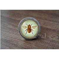 InsektHandgemachte Vintage Antike Schubladenknäufe Zieht Griffe/Kommode Knäufe Möbelknäufe/Möbelbeschläge InsektHandgemachte Vintage Antike Schubladenknäufe Zieht Griffe/Kommode Knäufe Möbelknäufe/Möbelbeschläge von lotusdardware