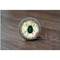 InsektHandgemachte Vintage Antike Schubladenknäufe Zieht Griffe/Kommode Knäufe Möbelknäufe/Möbelbeschläge InsektHandgemachte Vintage Antike Schubladenknäufe Zieht Griffe/Kommode Knäufe Möbelknäufe/Möbelbeschläge von lotusdardware