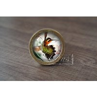 Kolibri - Handgefertigte Vintage Antique Schublade Knobs Pulls Handles/Dresser Schrank Pull Griffe/Möbelbeschläge Kolibri - Handgefertigte Vintage Antique Schublade Knobs Pulls Handles/Dresser Schrank Pull Griffe/Möbelbeschläge von lotusdardware