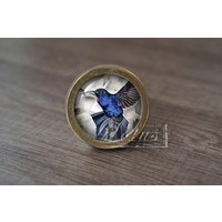 Kolibri-Handgemachte Vintage Antike Schubladenknäufe Knäufe Griffe/Kommode Möbelknäufe Möbelbeschläge Kolibri-Handgemachte Vintage Antike Schubladenknäufe Knäufe Griffe/Kommode Möbelknäufe Möbelbeschläge von lotusdardware