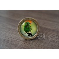 Kolibri-Handgemachte Vintage Antike Schubladenknäufe Knäufe Griffe/Kommode Möbelknäufe Möbelbeschläge Kolibri-Handgemachte Vintage Antike Schubladenknäufe Knäufe Griffe/Kommode Möbelknäufe Möbelbeschläge von lotusdardware