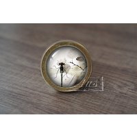 Libelle - Handgefertigte Vintage Antike Schubladenknäufe Griffe/Schrankknöpfe Schrank Knäufe/Möbelbeschläge von lotusdardware