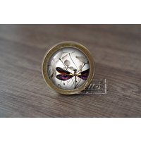 Libelle - Handgefertigte Vintage Antike Schubladenknäufe Griffe/Schrankknöpfe Schrank Knäufe/Möbelbeschläge Libelle - Handgefertigte Vintage Antike Schubladenknäufe Griffe/Schrankknöpfe Schrank Knäufe/Möbelbeschläge von lotusdardware
