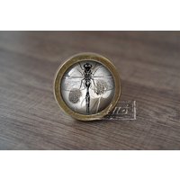 Libelle - Handgefertigte Vintage Antike Schubladenknäufe Griffe/Schrankknöpfe Schrank Knäufe/Möbelbeschläge von lotusdardware