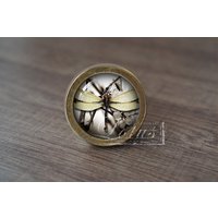 LibelleHandgemachte Vintage Antike Schubladenknäufe Zieht Griffe/Kommode Knäufe Möbelknäufe/Möbelbeschläge LibelleHandgemachte Vintage Antike Schubladenknäufe Zieht Griffe/Kommode Knäufe Möbelknäufe/Möbelbeschläge von lotusdardware