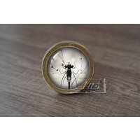 LibelleHandgemachte Vintage Antike Schubladenknäufe Zieht Griffe/Kommode Knäufe Möbelknäufe/Möbelbeschläge LibelleHandgemachte Vintage Antike Schubladenknäufe Zieht Griffe/Kommode Knäufe Möbelknäufe/Möbelbeschläge von lotusdardware