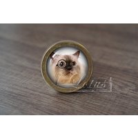 steampunk Katze - Handgefertigte Vintage Antike Schubladenknäufe Griffe/Schrankknöpfe Schrank Pull Griffe/Möbelbeschläge von lotusdardware