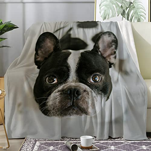 Fleecedecke FranzöSische Bulldogge Kuscheldecke Flauschig Weich Wärme Gemütlich Pflegeleicht Flanell-Fleece Mikrofaser Deckeldecke 3D TV-Decken Sofaüberwurf Decke Wohndecke Geschenke (200X200 cm) von loyaltyer